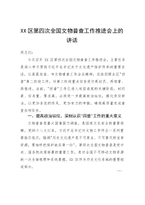 XX区第四次全国文物普查工作推进会上的讲话(参考)