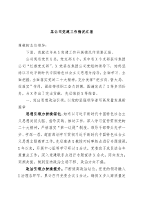 某公司党建工作情况汇报