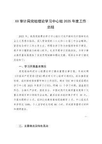 XX审计局党组理论学习中心组2025年度工作总结(参考)