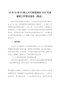 XX市XX县XX镇人大代表联络站2025年度履职工作情况报告(参考)