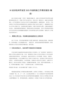 XX经济技术开发区2025年度档案工作情况报告(参考)