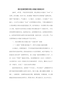 某区坚持党建引领乡村振兴经验启示