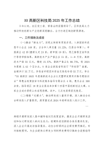 XX高新区科技局2025年工作总结(参考)
