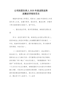 公司党委负责人2025年度述职述责述廉述学报告范文(参考)