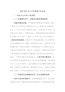 某县20XX年上半年党建工作汇报