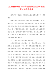 党支部副书记2025年度组织生活会对照检查材料四个带头