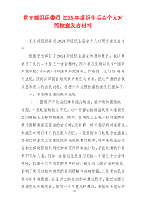 党支部组织委员2025年组织生活会个人对照检查发言材料
