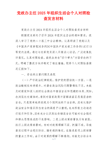 党政办主任2025年组织生活会个人对照检查发言材料