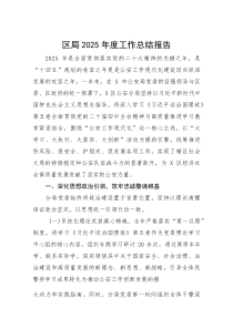 区局2025年度工作总结报告(参考)