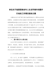 单位关于独居困难老年人生活环境专项提升行动的工作情况报告文稿(参考)