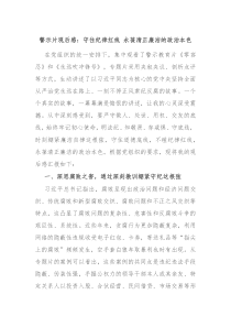 警示片观后感守住纪律红线永葆清正廉洁的政治本色