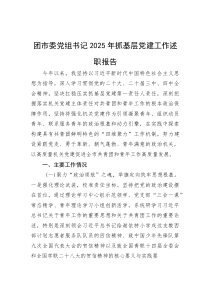 团市委党组书记2025年抓基层党建工作述职报告(参考)