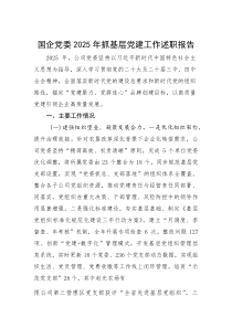 国企党委2025年抓基层党建工作述职报告(参考)