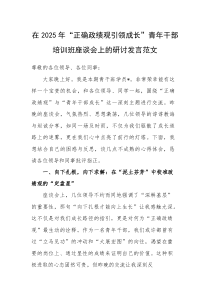 在2025年“正确政绩观引领成长”青年干部培训班座谈会上的研讨发言范文(参考)