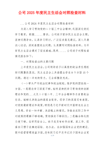 公司2025年度民主生活会对照检查材料