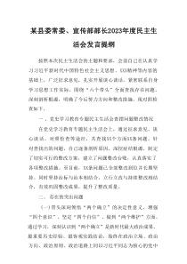 某县委常委宣传部部长20XX年度民主生活会发言提纲