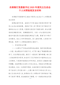 农商银行党委副书记2025年度民主生活会个人对照检视发言材料