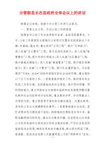 分管副县长在县政府全体会议上的讲话