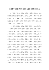 某县数字政府暨项目建设百日攻坚行动开展情况汇报