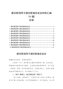 新任职领导干部任职表态发言材料汇编（10篇）(参考)