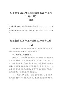 纪委监委2025年工作总结及2026年工作计划（2篇）(参考)