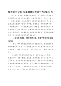 镇党委书记2025年抓基层党建工作述职报告(参考)