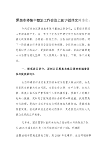黑臭水体集中整治工作会议上的讲话范文(参考)