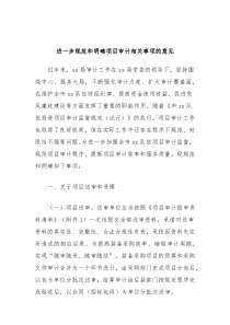进一步规范和明确项目审计相关事项的意见