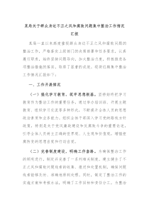 某局关于群众身边不正之风和腐败问题集中整治工作情况汇报