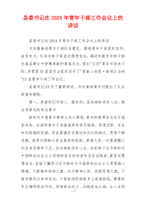 县委书记在2025年青年干部工作会议上的讲话