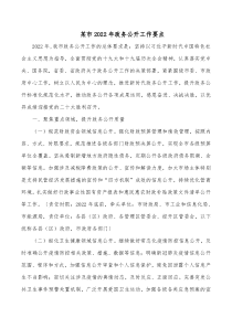 某市20XX年政务公开工作要点