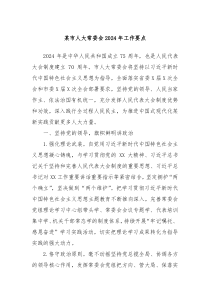 某市人大常委会20XX年工作要点