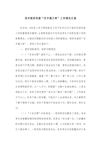 某市做好巡察后半篇文章工作情况汇报