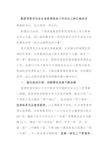 集团党委书记在全省思想政治工作会议上的汇报发言