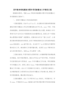 某市粮食领域腐败问题专项巡察整治工作情况汇报