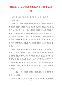 县长在2025年县政府全体扩大会议上的讲话