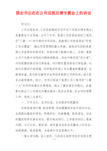 国企书记在在公司巡视反馈专题会上的讲话