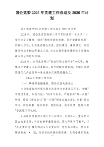 国企党委2025年党建工作总结及2026年计划