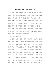 某某某某主题教育开展情况的汇报