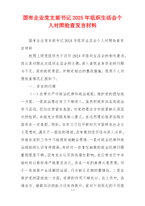国有企业党支部书记2025年组织生活会个人对照检查发言材料
