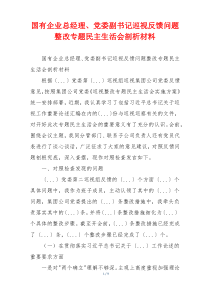 国有企业总经理、党委副书记巡视反馈问题整改专题民主生活会剖析材料