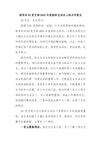 领导在XX党支部20XX年度组织生活会上的点评意见