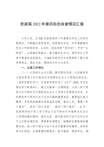 民政局20XX年意识形态自查情况汇报