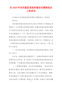 在2025年农村基层党组织建设专题推进会上的讲话