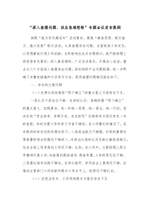 深入查摆问题回应急难愁盼专题会议发言提纲
