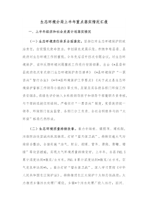 生态环境分局上半年重点落实情况汇报