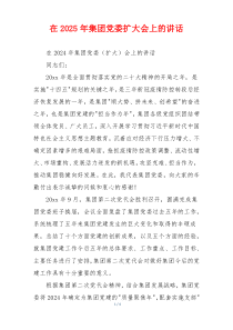 在2025年集团党委扩大会上的讲话