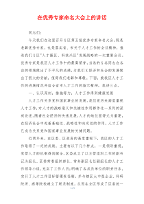 在优秀专家命名大会上的讲话