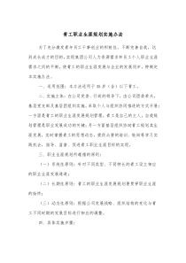 青工职业生涯规划实施办法