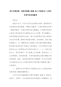 青年专题党课用新思想凝心铸魂深入开展面向广大团员和青年的思想教育